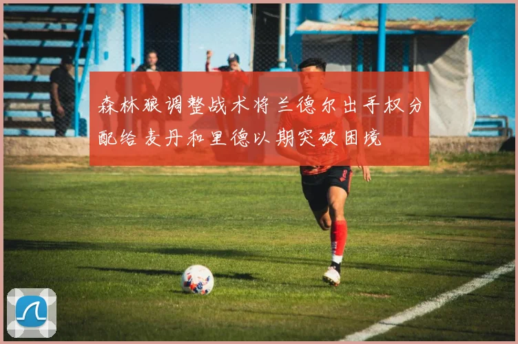 森林狼调整战术将兰德尔出手权分配给麦丹和里德以期突破困境